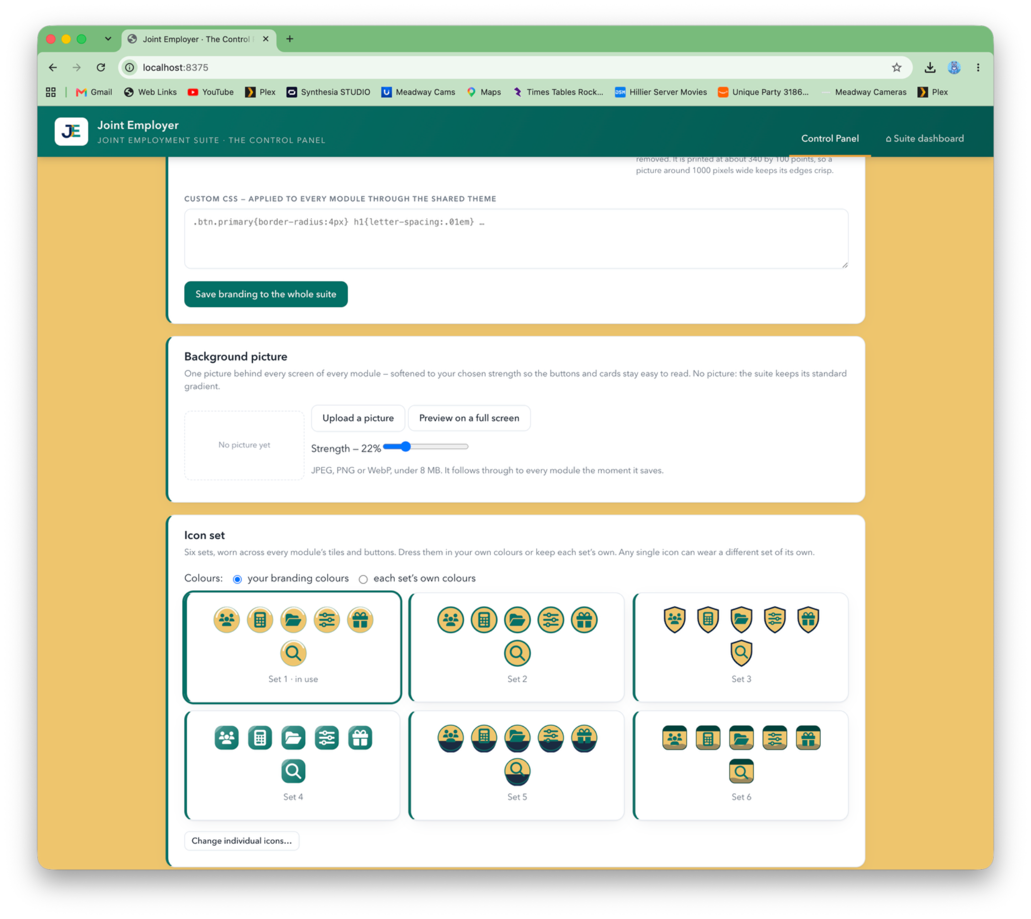 Control Panel branding settings showing logos, colours and brand identity fields